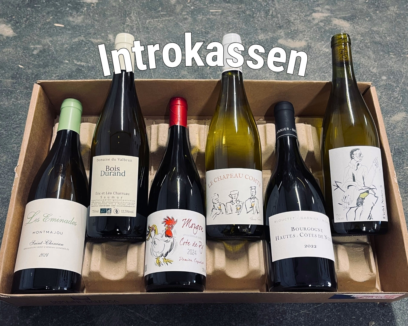 Introkassen