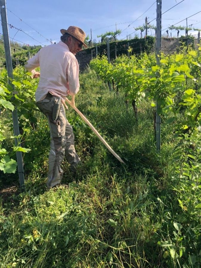 Weingut Bertram Isele