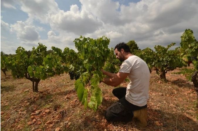 Domaine Thomas Rouanet