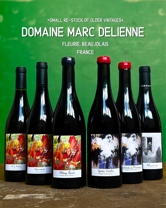 STORE VINOPLEVELSER #1 Domaine Marc Delienne