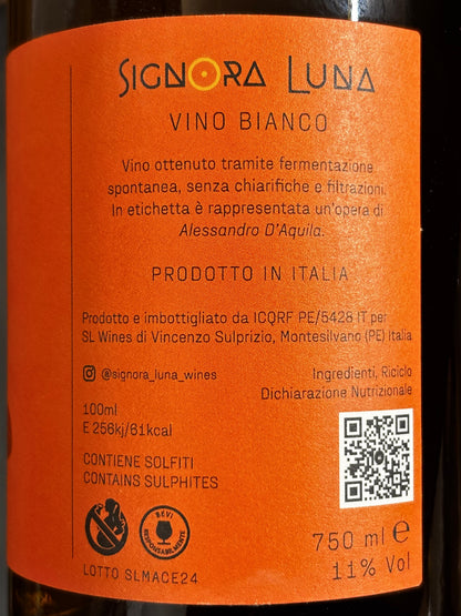 "Skin" Vino Bianco 2024