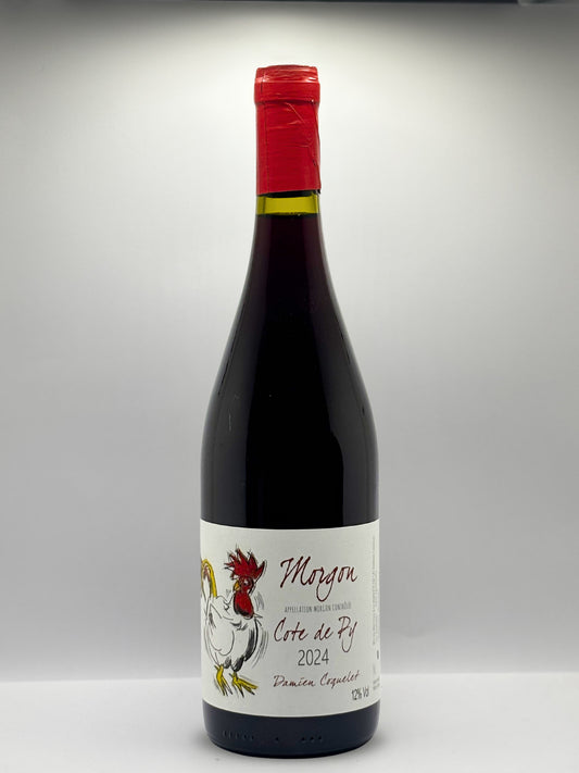 "Morgon" Côte du Py 2024