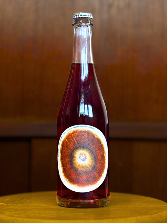 "Pet Net" 2025